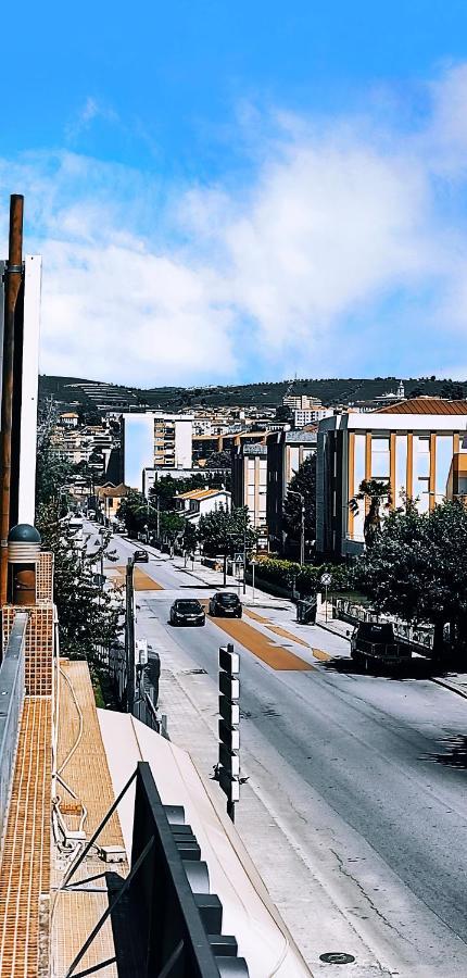 מלון פסו דה רגואה Residencial Douro מראה חיצוני תמונה